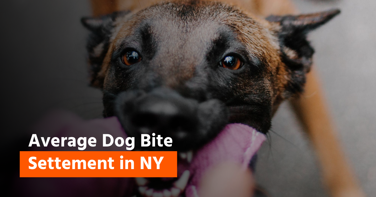 Average Dog Bite Settlement in New York Average Dog Bite Settlements in New York